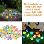 220 Pcs Mini Resin Ducks Luminous Tiny Ducks Miniature Duck Glow in The Dark for DIY Garden Dollhouse Duck Accessories Micro Landscape Aquarium Party Decor