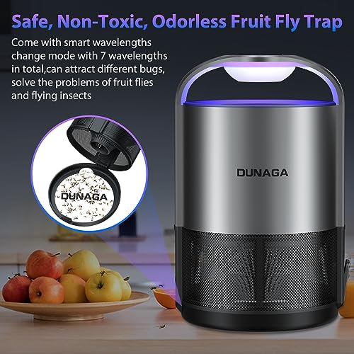 Automatic Fruit Fly Trap Indoor, Fly Traps Indoor for Home, Gnat Traps for House, Mosquito Traps, Insect Traps Indoor with 10 Sticky Glue Boards, Gray