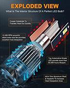 H11/H8/H9 LED Bulbs,80W 16000 Lumens Bright,6500K Cool White LED Fog Light Halogen Replacement IP68 Waterproof, Pack of 2