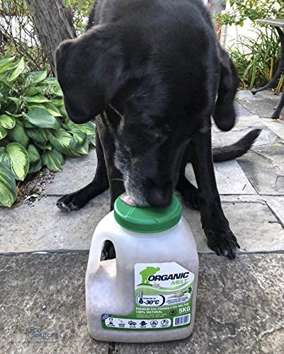 Organic Melt Premium Granular Ice Melt. Eco Friendly, Pet Friendly, Driveway and Sidewalk Safe 5kg (11lbs) Shaker Jug