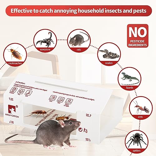 LULUCATCH Sticky Mouse Traps, 24 Pack Pre-baited Glue Traps, Foldable Bulk Non-Toxic Indoor Mouse Glue Boards for Insects, Snake, Lizard, & Spider, Pet Child Safe & Easy to Use Pest Control