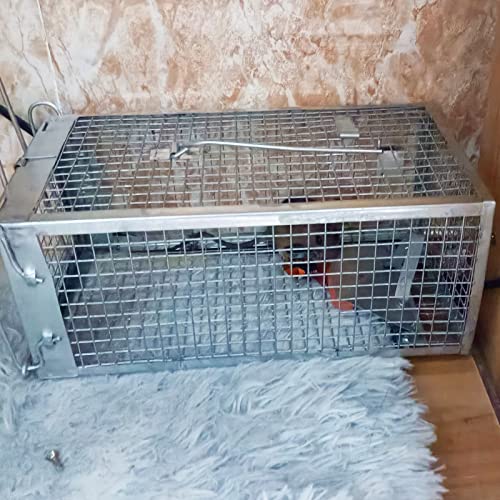 SZHLUX 2-Pack Rat Trap, Humane Mouse Traps Work for Indoor and Outdoor,Small Rodent Animal-Mice Vole Chipmunk Hamsters Live Cage,Catch and Release(SZ-SL2614X2S)