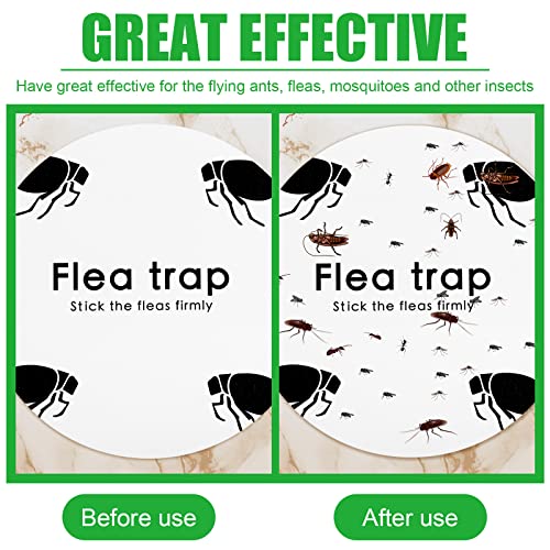 Flea Trap Refill Discs Sticky Traps Fly Trap Refill Glue Board Refills Trap Double Layer Adhesive Nontoxic Odorless Pest Control Traps Replacement Sticky Glue Pads 7.1 Inch for Bugs Flies (60 Pcs)