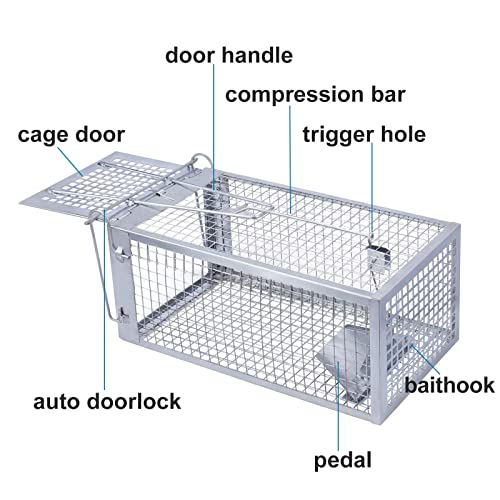 POlAFLEX Rat Traps Outdoor and Indoor, Single Door Cage Rodent Trap, Live Traps for Chipmunks, Catch and Release, Chipmunk Traps That Work for Rats, Mice, Chipmunks, and Other Small Size Animals