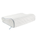 SEALY Dreamlife Standard Size Contour Memory Foam Pillow with Surface Guard Technology, Removable Machine-Washable Cover, 1 Year Limited Warranty