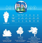 BioAdvanced 12 Month Tree and Shrub Protect and Feed, Granules, 4 lb