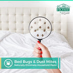 CHOMP! Bed Bug Spray, 3 Pack, Travel Size, Plant Based Bed Bug Killer, Insect & Pest Control for Home and Hotels for Ants, Bed Bugs, Spiders, Dust Mites, Flys, Peppermint Scent, 3.4 Ounce Pump Bottles