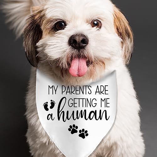 My Parents are Getting Me a Human Dog Pregnancy Announcement Bandana Pregnancy Dog Bandana for Dogs Pet Accessories for Dog Lovers Pregnancy Reveal Ideas