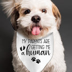 My Parents are Getting Me a Human Dog Pregnancy Announcement Bandana Pregnancy Dog Bandana for Dogs Pet Accessories for Dog Lovers Pregnancy Reveal Ideas