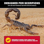 Catchmaster Scorpion Glue Tray Traps 6-Pack, Adhesive Scorpion Killer for Home, Simple Insect Traps Indoor, Sticky Bug Catcher for Kitchen, Garage, & Basement, Pet Safe Pest Control Glue Trap