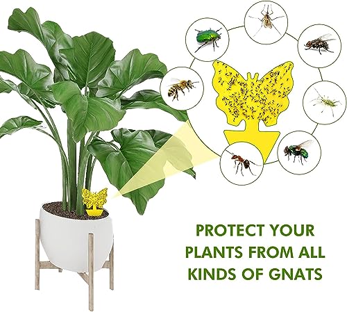 Glovv 36 Pack Fruit Fly Traps for Indoors, Fungus Gnats Killer Trap, Yellow Sticky Traps for Plant Gnat for Houseplant, Mosquitos, Flying Insect, White Flies