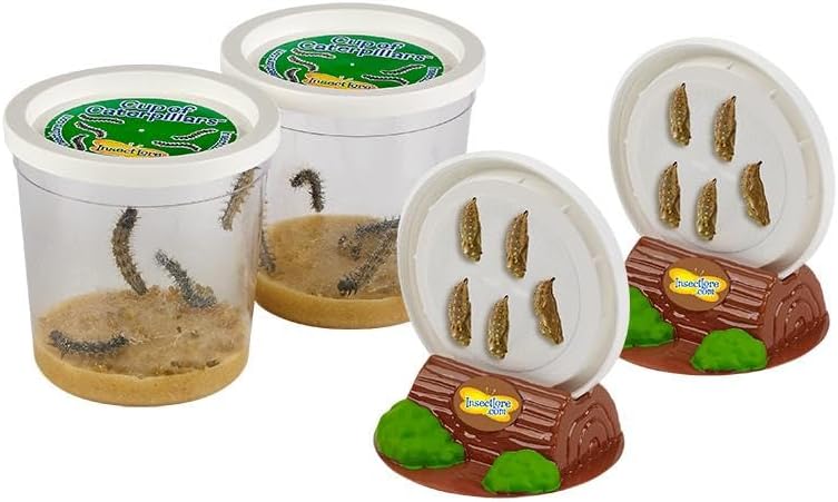 Insect Lore Butterfly Garden | Original 12" Habitat and Two Cups of Live Baby Caterpillars | Life Science & STEM Education Kit