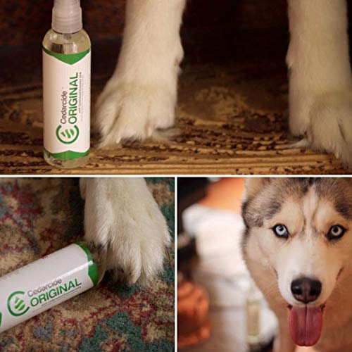 Cedarcide Original Bug Spray | Repel & Kill Fleas, Ticks, Mosquitoes, Mites, Ants & Chiggers | for use on People, Pets & Home | Natural Cedar Oil | Large Size Kit