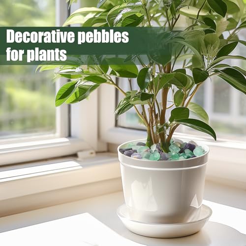 T4U Fluorite Aquarium Gravel Rocks 3 Lbs, Crystals Chip Bulk for Fish Tank, Decorative Pebbles Bulk for Plants, Vase Filler Stones, Natural Quartz Chips Stones for Decoration, Healing Crystal