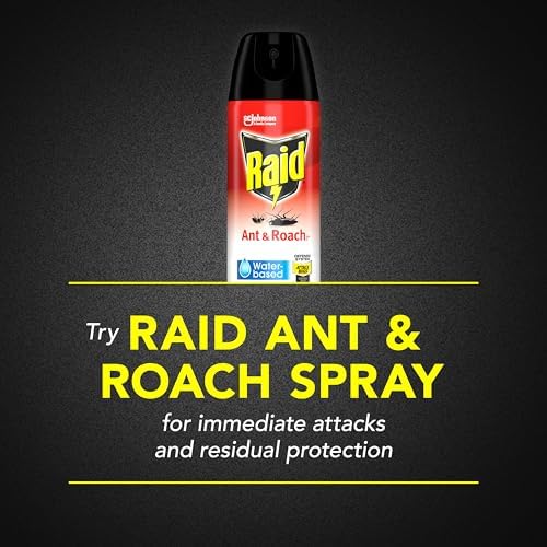 Raid Ant & Roach Aerosol Bug Spray, Water-Based Formula Insecticide With No Greasy Residue, Kills On Contact, 17.5 oz