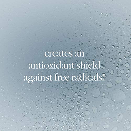 Dermalogica Antioxidant Hydramist Toner Anti-Aging Toner Spray for Face that helps Firm and Hydrate Skin - For Use Throughout the Day