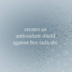 Dermalogica Antioxidant Hydramist Toner Anti-Aging Toner Spray for Face that helps Firm and Hydrate Skin - For Use Throughout the Day