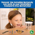 Insect Lore Butterfly Farm™ | Butterfly Kit with Live Cup of Caterpillars | 5 Caterpillars, Reusable Habitat, STEM Butterfly Journal & More