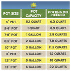 Banana Tree Potting Soil Mix (12 Quarts), Hand Blended Mixture for Banana Plants