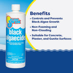 In The Swim Black Algaecide – Eradicates Black Algae in Swimming Pools - Copper Sulfate Pentahydrate - 1 Quart