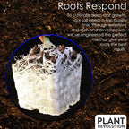 Plant Revolution PRPSGW08 100049824 8 oz Mycorrhizae, 8 Ounce, White