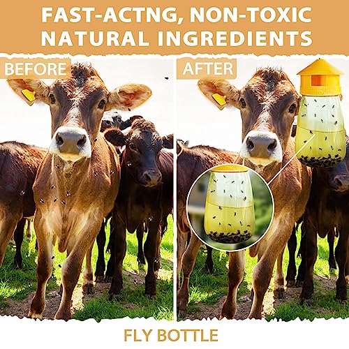 10 Pack Fly Bait, Fly Trap Bait for Outdoor, Fly Bait Refill, Fly Catcher Bait Trap Refill for Reusable Ranch Fly Trap, Fly Traps Outdoor, Stable Fly Trap, 300g Total