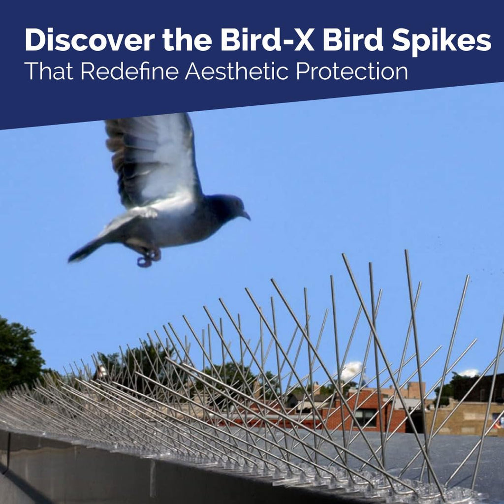 Bird-X (STS-10-R) STAINLESS STEEL SPIKES-10' Standard, 10 feet, Silver
