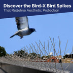 Bird-X (STS-10-R) STAINLESS STEEL SPIKES-10' Standard, 10 feet, Silver