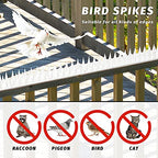 Grovind Birds Spikes Anti Climb Spikes Plastic Spikes to Defence Cat, Racoon and Small Animals Apply to Fences, Roof Keep Birds Away