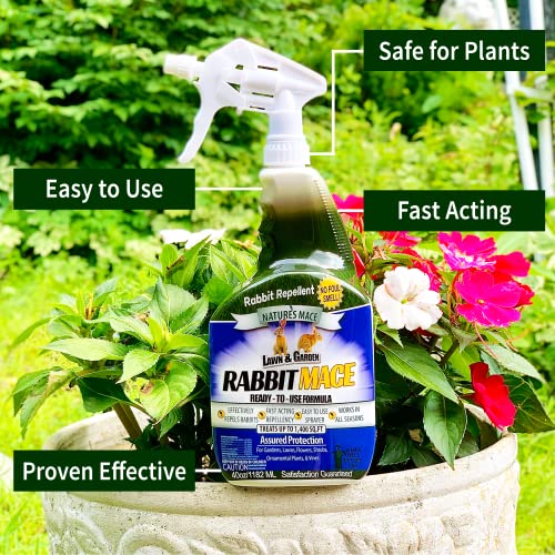 Nature’s MACE Rabbit Repellent 40oz Spray/Covers 1,400 Sq. Ft. / Rabbit Repellent and Deterrent/Keep Rabbits Out of Your Lawn and Garden/Safe to use Around Children & Plants