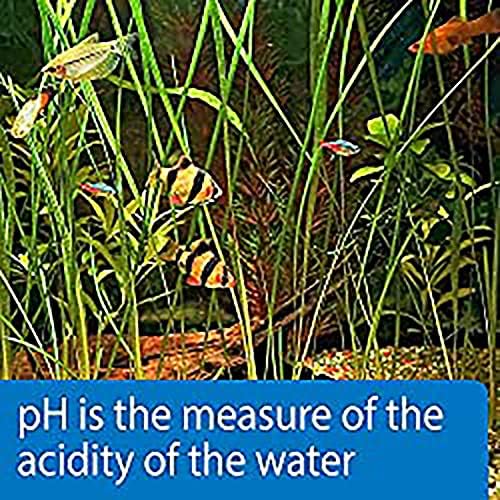 API TEST STRIPS,For Variety of Water Parameters,Monitor aquarium water quality and help prevent invisible water problems that can be harmful to fish,Use weekly and when problems appear,25-Count (33F)