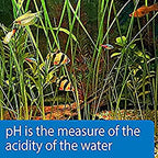 API TEST STRIPS,For Variety of Water Parameters,Monitor aquarium water quality and help prevent invisible water problems that can be harmful to fish,Use weekly and when problems appear,25-Count (33F)