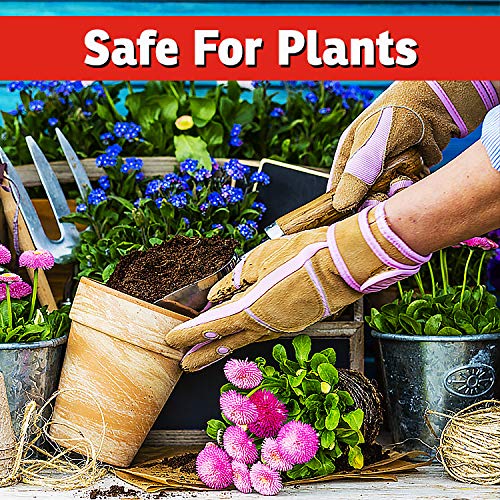 I Must Garden Deer Repellent: Spice Scent Deer Spray for Gardens & Plants – Natural Ingredients – 1 Gallon Ready to Use Refill