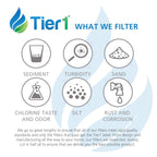 Tier1 DA29-00020B Refrigerator Water Filter | Replacement for Samsung DA29-00020A, HAFCIN/EXP, HAF-CIN, 46-9101, DA97-08006A-B, WSS-2, WF294, Fridge Filter