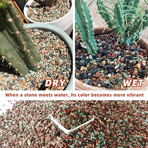 18lb Mix Horticultural Lava Rock Pebbles Pumice Potting Soil Amendment Succulent Cactus Bonsai Gritty Rock Decorative Gravel Plant Drainage Volcanic Rock for Aquarium Fairy Gardening Top Dressing