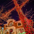HOME LIGHTING 66ft Christmas Decorative Mini Lights, 200 LED Green Wire Fairy Starry String Lights Plug in, 8 Lighting Modes, for Indoor Outdoor Xmas Tree Wedding Party Decoration (Red & Green)