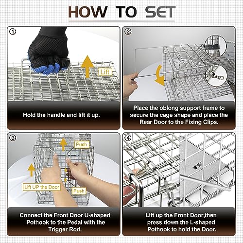 twocorn 17.3" Heavy Duty Live Squirrel Trap, Folding Small Animal Cage Traps, Humane Cat Trap for Stray Cats, Rabbits, Raccoons, Skunks, Possums and More Rodents, Catch and Release.