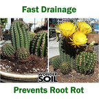 WONDER SOIL | Organic Cactus & Succulent Soil (12 Quarts). Fast Draining Ready to Plant Coco Coir Loaded w/Nutrients | 3 LBS Expands to 12 Quarts | Incl Worm Castings & Nutrients