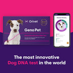 Orivet Genopet Dog DNA Test | Dog Breed Test Kit, Genetic Testing, Heritable Health Risks and Life Plan
