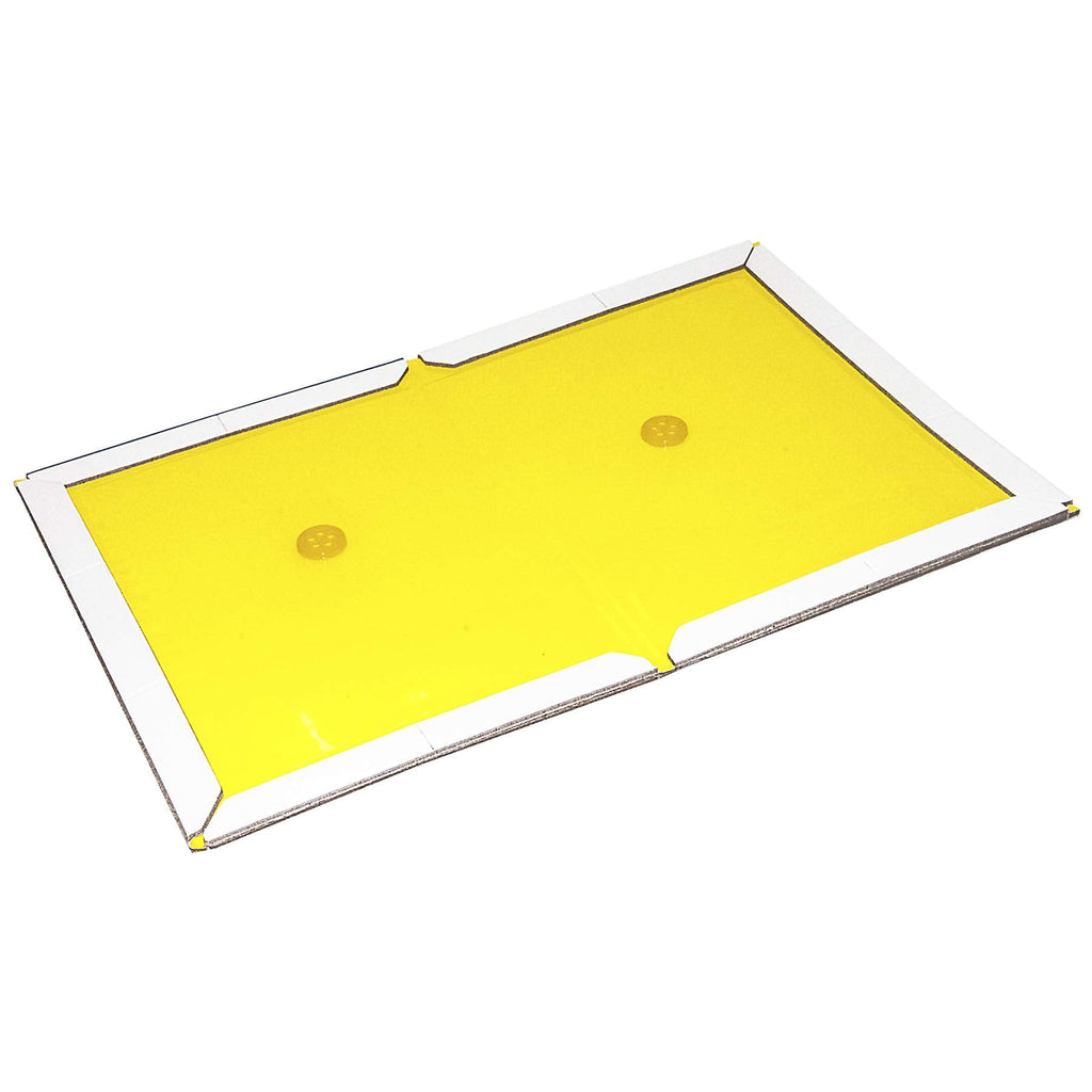 JT Eaton 157 O4269007 Fruit Fly, 1 Glue Trap, Black
