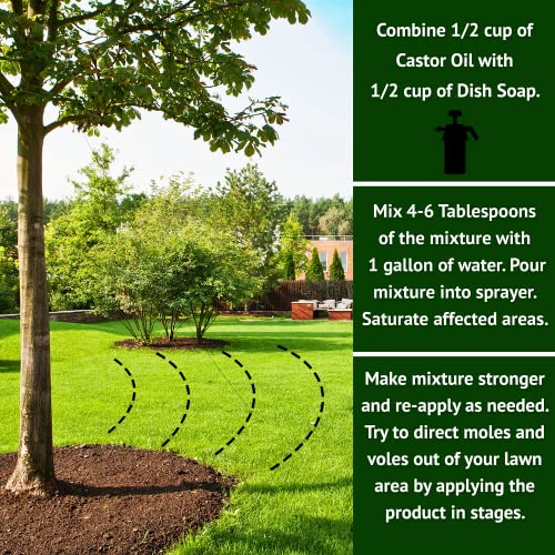Nature’s MACE Mole & Vole Repellent 32oz Castor Oil Concentrate/Covers up to 5,000 Sq. Ft. / Keep Moles and Voles Out of Your Lawn and Garden/Safe to use Around Home & Plants Guaranteed