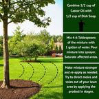 Nature’s MACE Mole & Vole Repellent 32oz Castor Oil Concentrate/Covers up to 5,000 Sq. Ft. / Keep Moles and Voles Out of Your Lawn and Garden/Safe to use Around Home & Plants Guaranteed