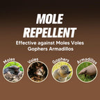 KQCWKH Mole Repellent for Lawns, Mole and Vole Repellent Outdoor, Gopher Repellent, Groundhog Repellent Outdoor, Armadillo Repellent, Mole Deterrent for Yard, Lasts Up to 3 Months, 8 Balls