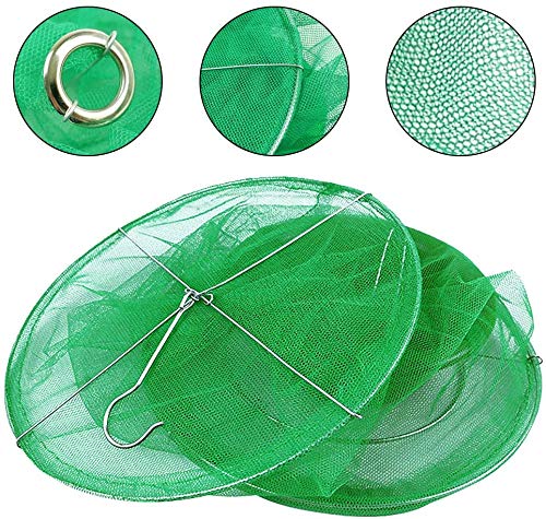Ckyuna 8 Pack Fly Trap Garden Ranch Orchard Trap,Ranch Fly Trap Flay Catcher, The Most Effective Trap Ever Made with Pots Flay Catcher New Fly Red Drosophila