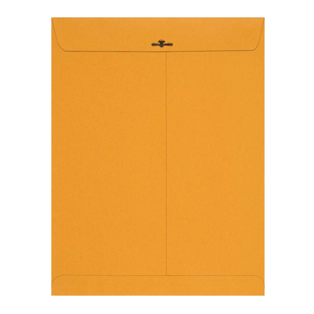Amazon Basics 10 x 13-Inch Clasp Kraft Envelopes, Gummed, 100-Pack