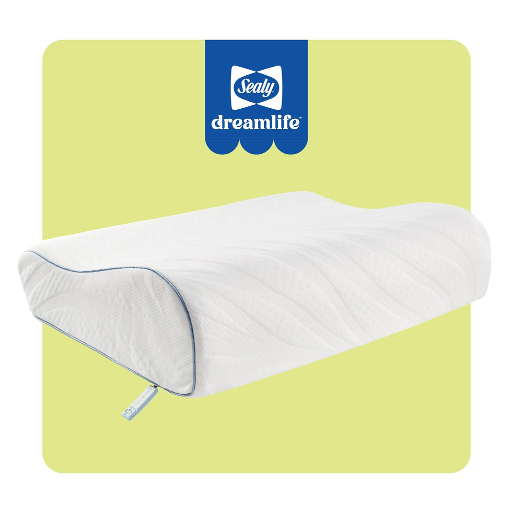 SEALY Dreamlife Standard Size Contour Memory Foam Pillow with Surface Guard Technology, Removable Machine-Washable Cover, 1 Year Limited Warranty