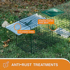 HOMESTEAD 2-Pack Live Animal Trap - Specialized for Raccoons, Opossums, Groundhogs, Skunks, Feral Cats, Squirrels - Heavy Duty Steel Traps, 1-Door, Green, Humane Catch & Release Animal Trap,89-302