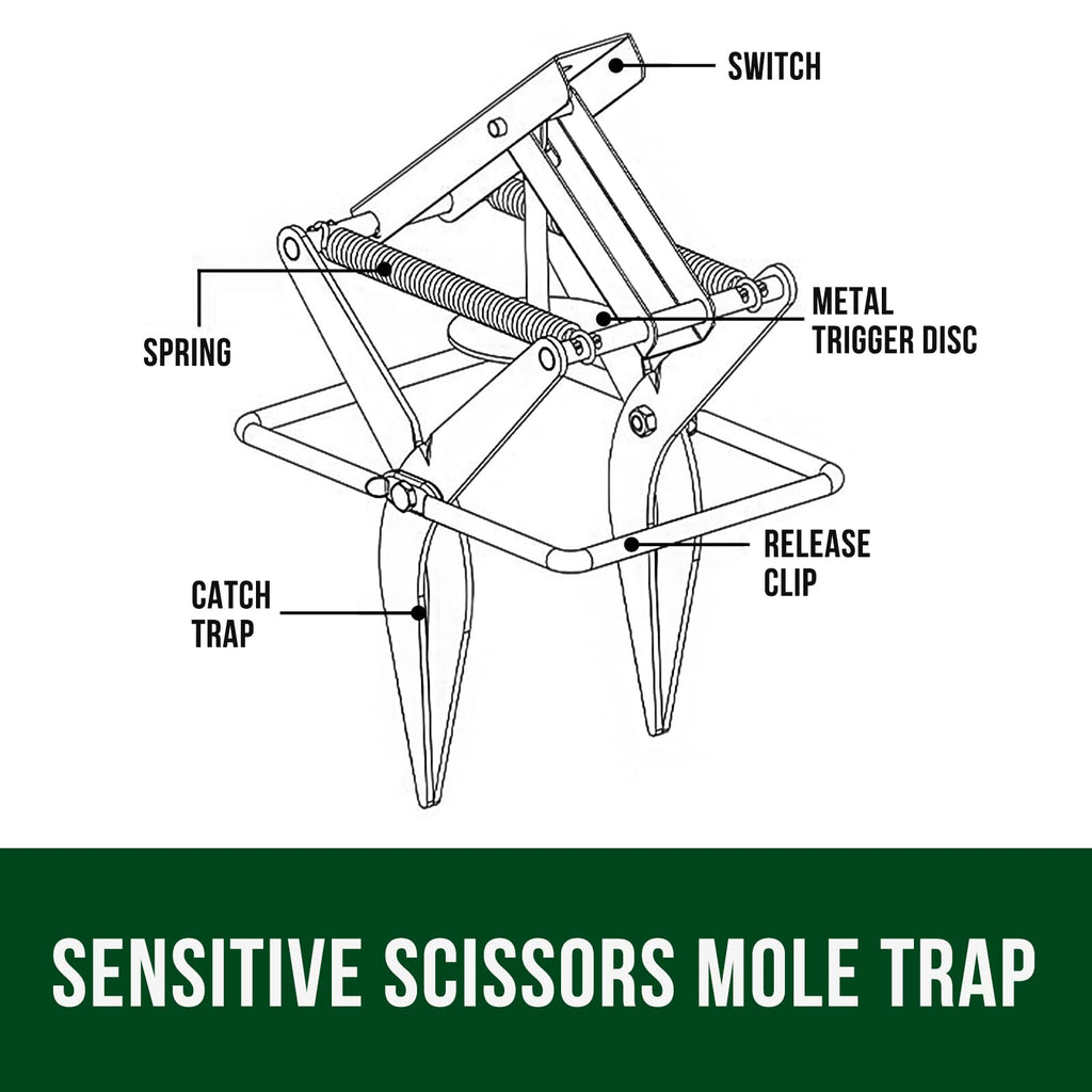 Garsum Plunger Mole Trap Gopher Trap Reusable Quick and Clean Kill (Black_ 1 Mole Trap)