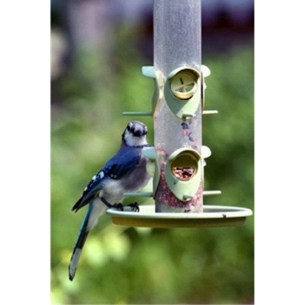 Wagner's 53002 Farmer's Delight Wild Bird Food with Cherry Flavor, 10-Pound Bag
