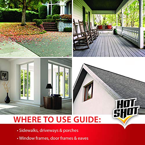 Hot Shot Ant, Roach And Spider Killer 2-17.5 Ounce Aerosol Cans, Fresh Floral Scent, Twin Pack